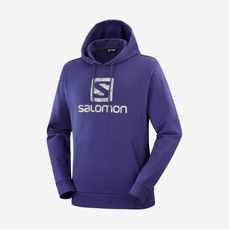 Men\'s Salomon OUTLIFE LOGO SUMMER Hoodie Purple | IN2405AHK