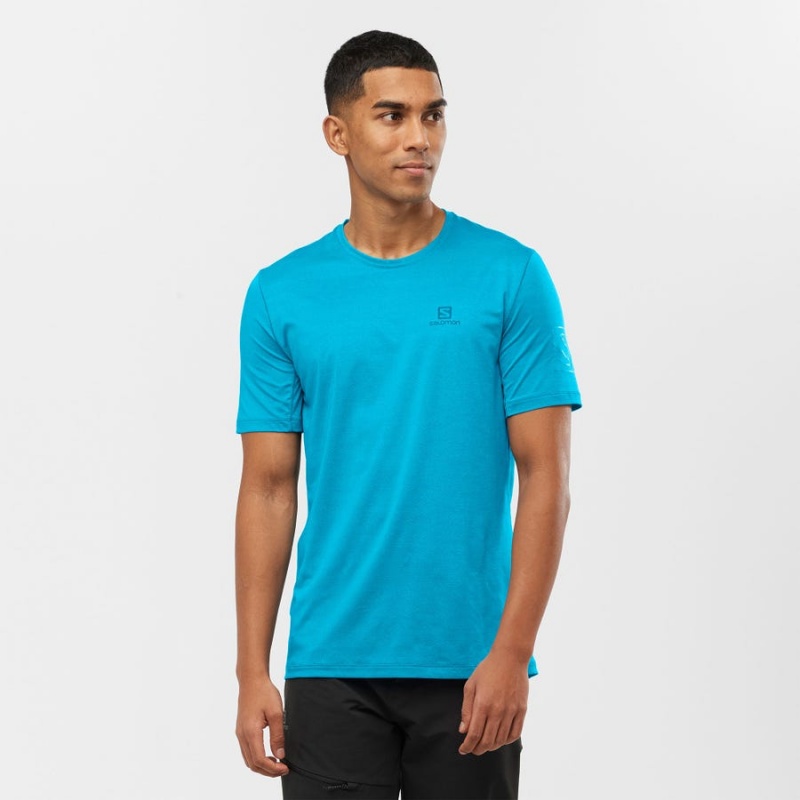 Men's Salomon OUTLINE T Shirts Blue | IN2375ILH