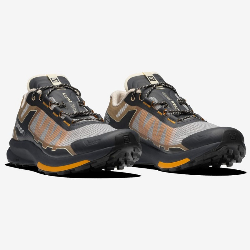 Men's Salomon ULTRA RAID Sneakers Brown / Silver | IN2220XYU