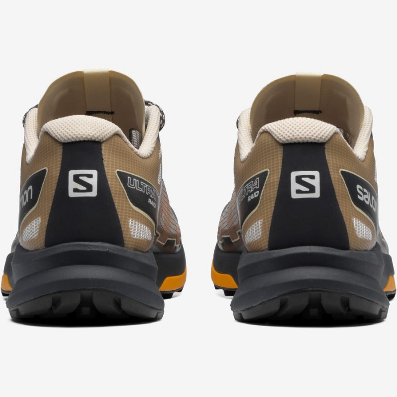 Men's Salomon ULTRA RAID Sneakers Brown / Silver | IN2220XYU