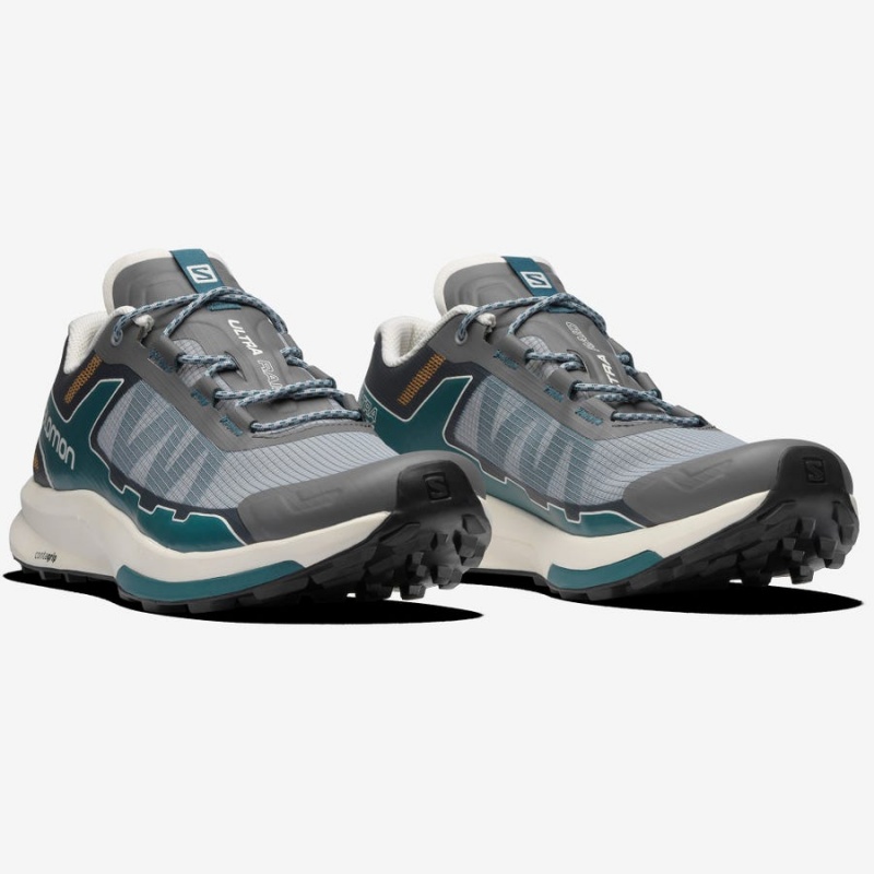 Men's Salomon ULTRA RAID Sneakers Grey / Silver | IN2222VRW