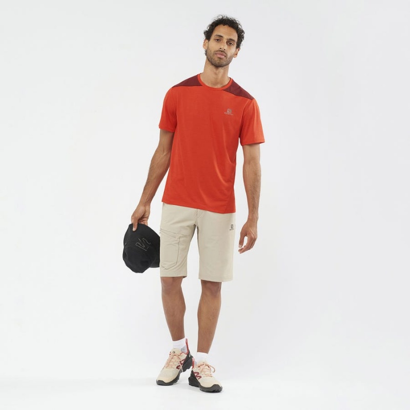 Men's Salomon WAYFARER Shorts Beige | IN2478FDN