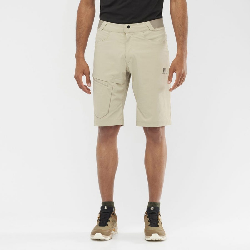 Men's Salomon WAYFARER Shorts Beige | IN2478FDN