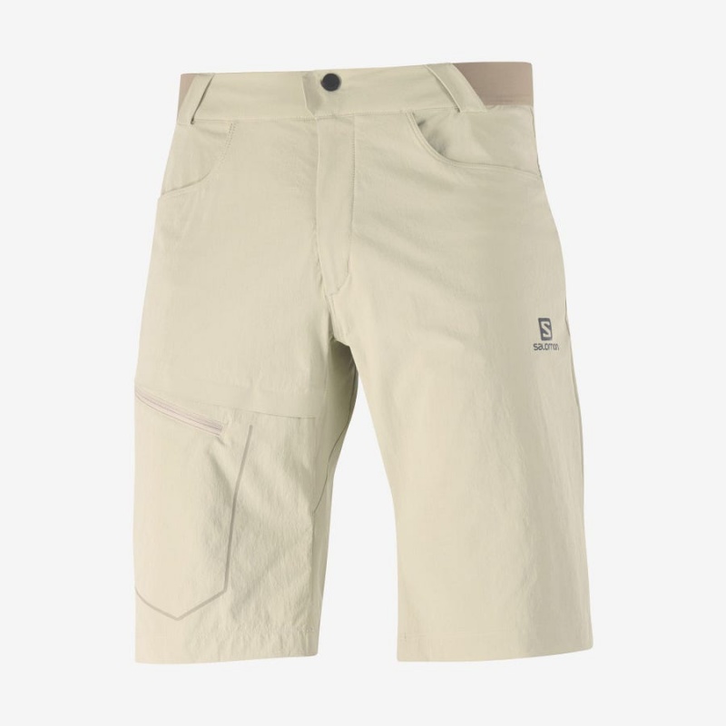 Men\'s Salomon WAYFARER Shorts Beige | IN2478FDN