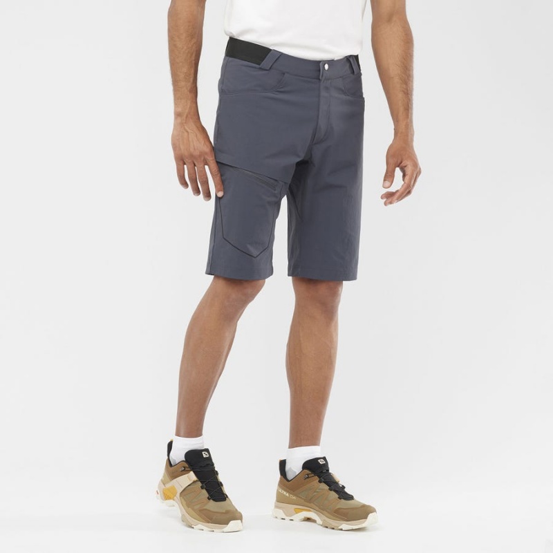 Men's Salomon WAYFARER Shorts Grey | IN2475AHK