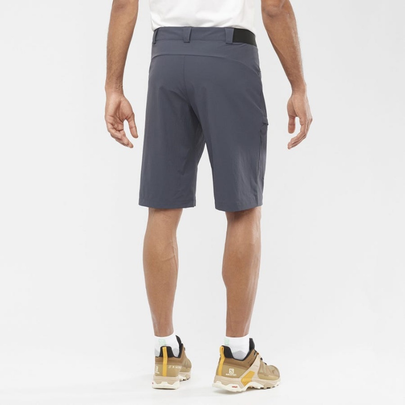 Men's Salomon WAYFARER Shorts Grey | IN2475AHK