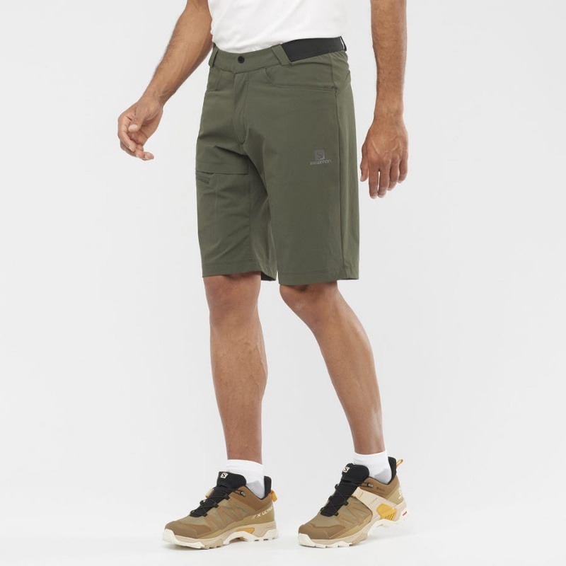 Men's Salomon WAYFARER Shorts Olive | IN2476SGL