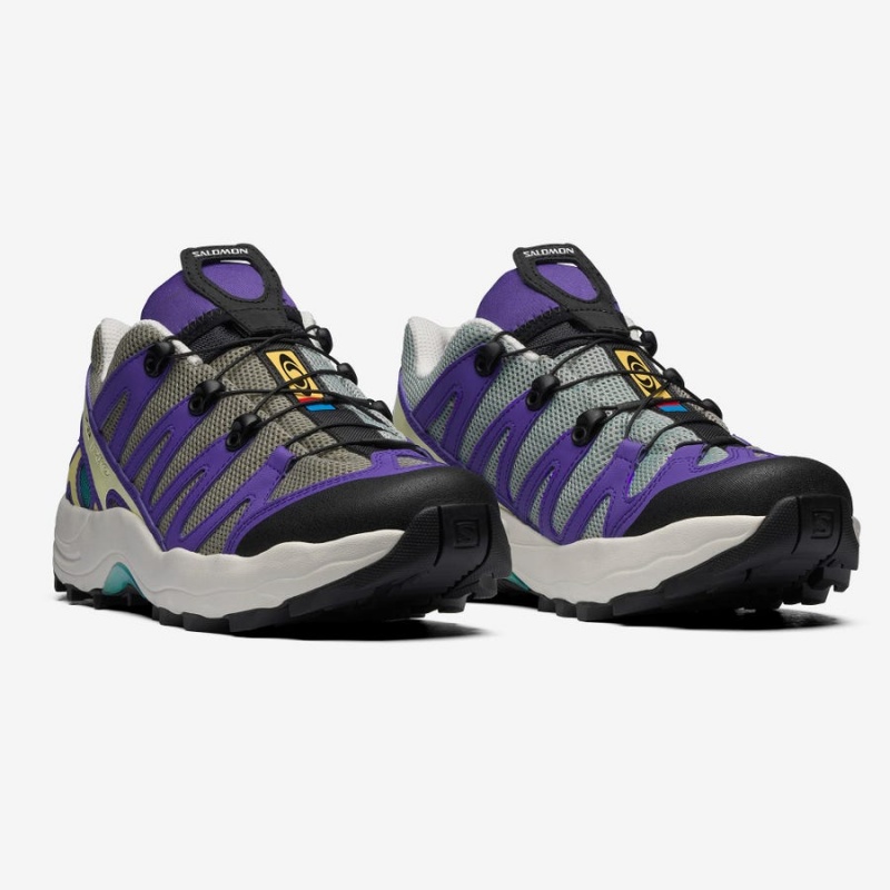 Men's Salomon XA PRO 1 Sneakers Purple / Grey | IN2203CTV