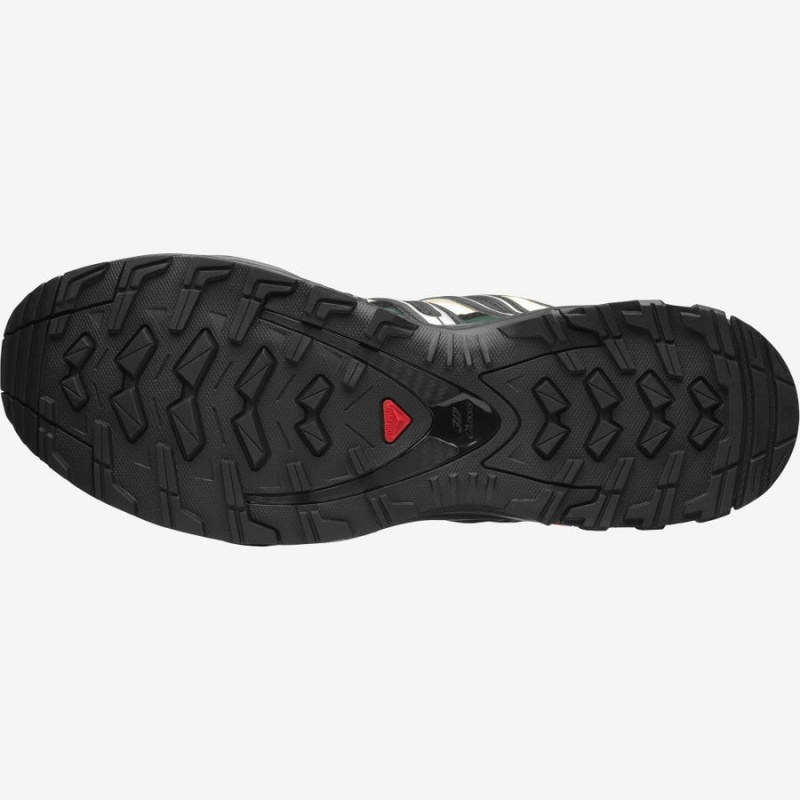 Men's Salomon XA PRO 3D Sneakers Black | IN2188ILH