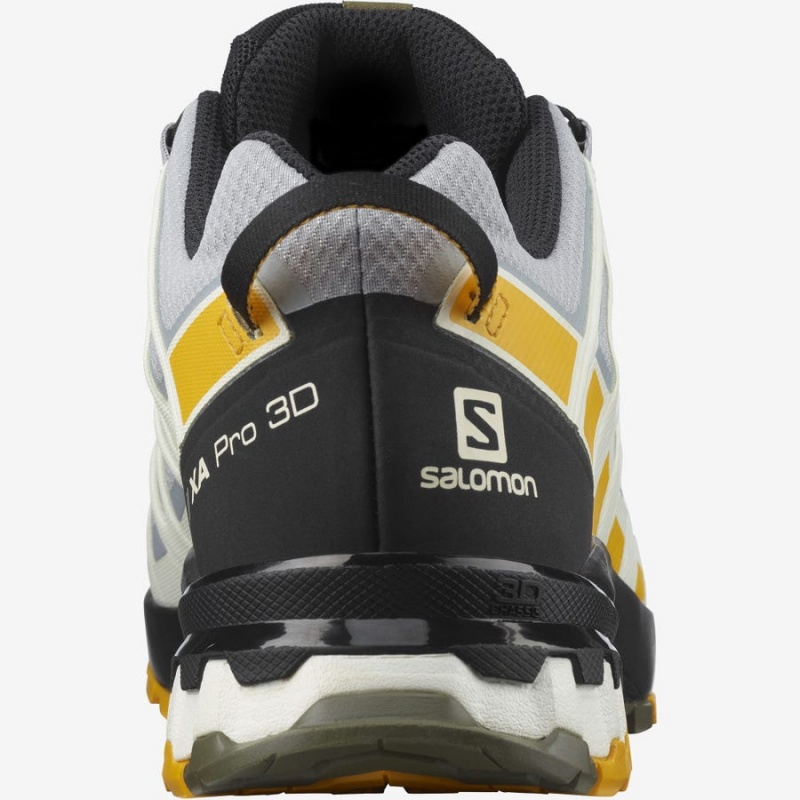 Men's Salomon XA PRO 3D v8 GORE-TEX Trail Running Shoes Black / Grey | IN2119PJJ