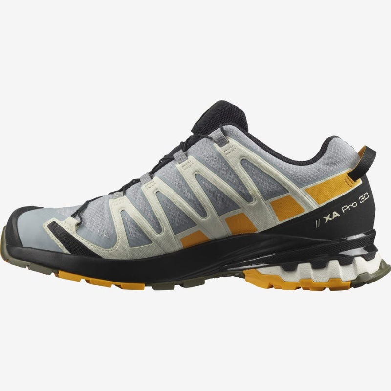 Men's Salomon XA PRO 3D v8 GORE-TEX Trail Running Shoes Black / Grey | IN2119PJJ