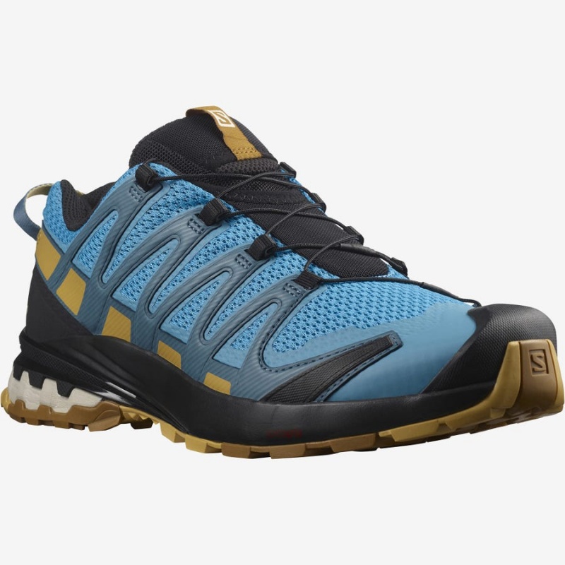 Men's Salomon XA PRO 3D v8 Trail Running Shoes Blue | IN2098GSO