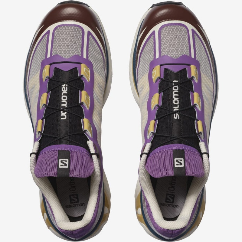 Men's Salomon XT-6 FT Sneakers Purple / Chocolate | IN2226QMA