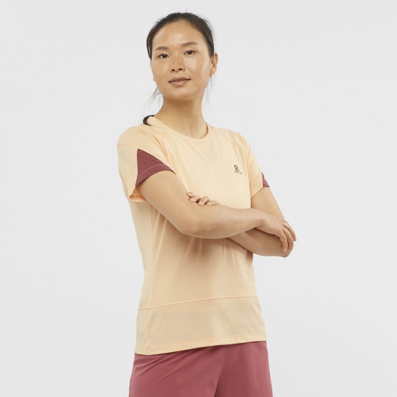 Women's Salomon CROSS RUN T Shirts Beige | IN3081AHK