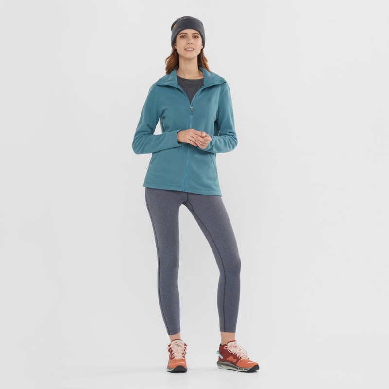 Women's Salomon ESSENTIAL COSY FLEECE Hoodie Blue | IN3111HAP