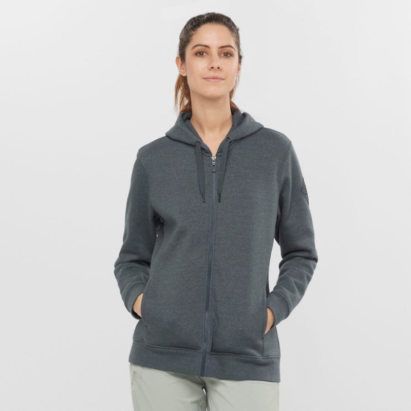 Women's Salomon ESSENTIAL WARM SALOMON Hoodie Grey | IN3110GSO