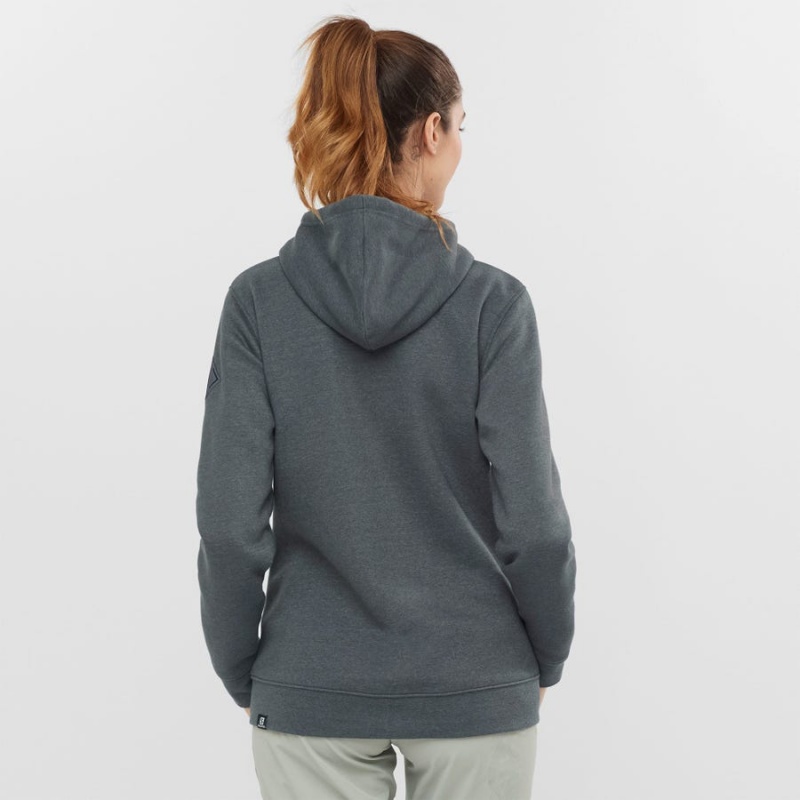 Women's Salomon ESSENTIAL WARM SALOMON Hoodie Grey | IN3110GSO