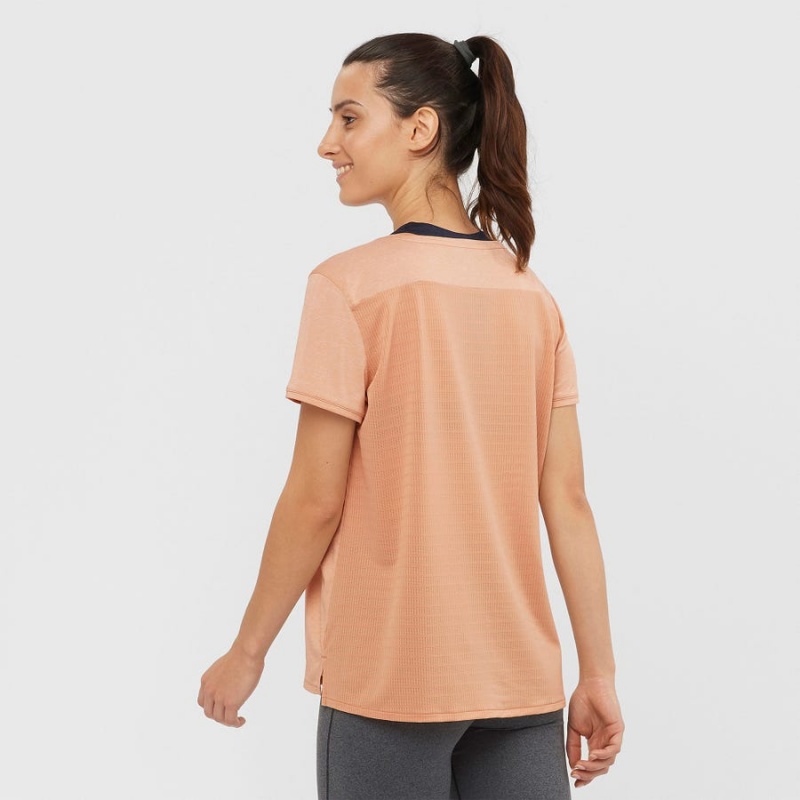 Women's Salomon OUTLINE SUMMER T Shirts Beige | IN3071WNB