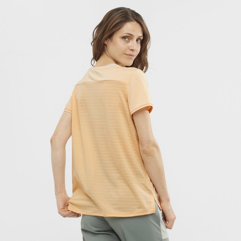 Women's Salomon OUTLINE SUMMER T Shirts Brown | IN3075YXF