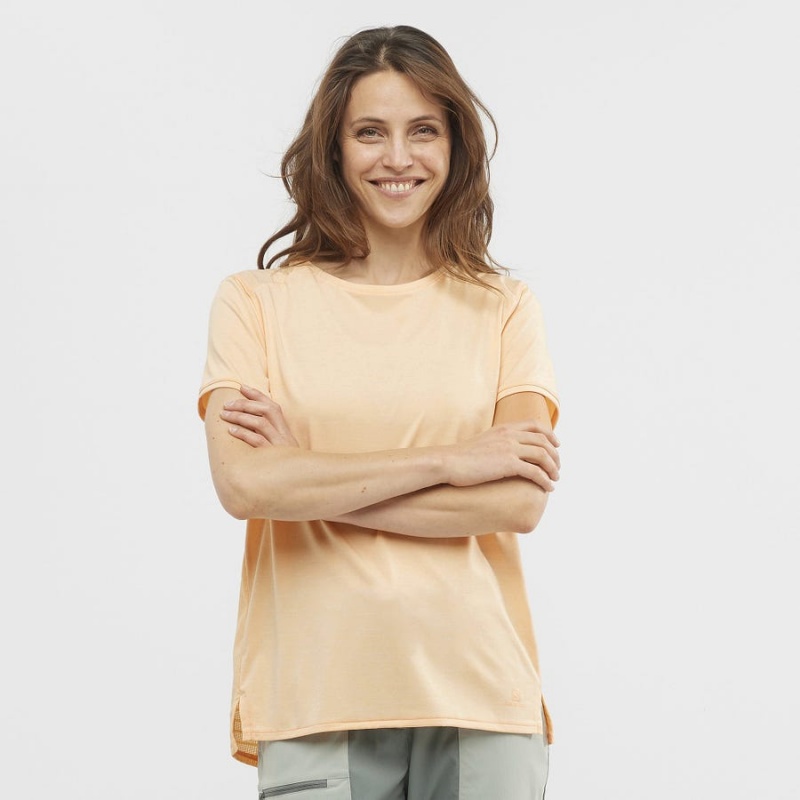 Women's Salomon OUTLINE SUMMER T Shirts Brown | IN3075YXF