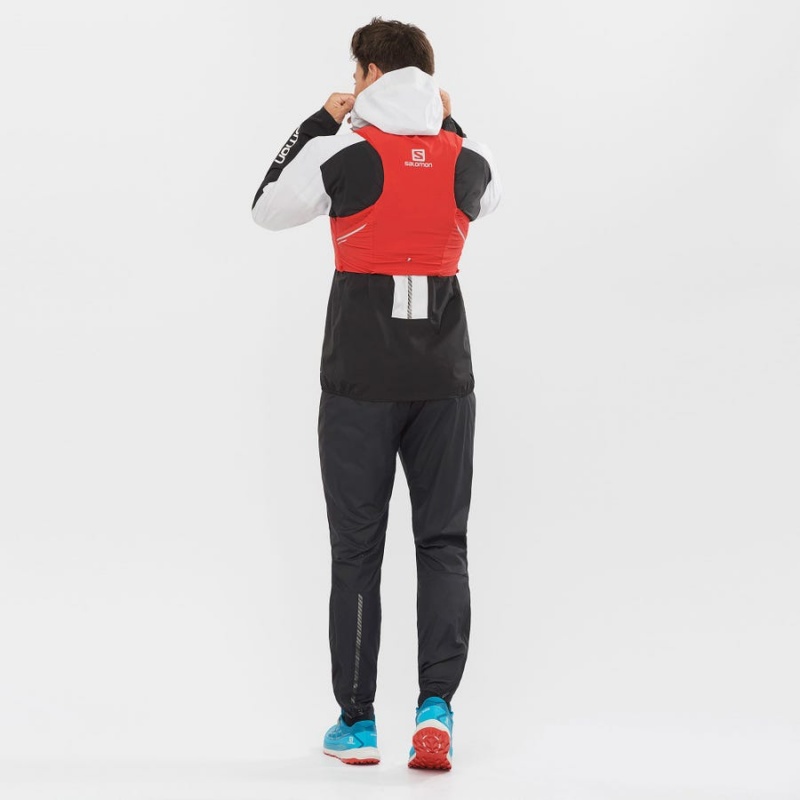 Women's Salomon SENSE PRO 5 Running Packs Red | IN3358WNB