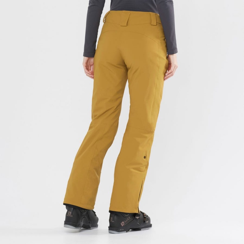 Women's Salomon THE BRILLIANT Ski Pants Brown | IN3311GSO