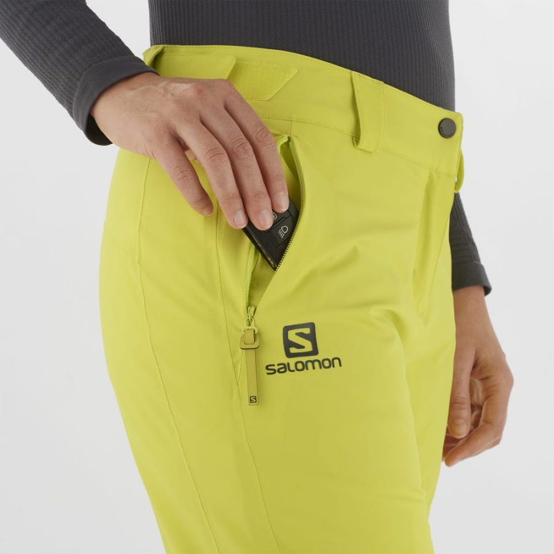 Women's Salomon THE BRILLIANT Ski Pants Green | IN3309DFM