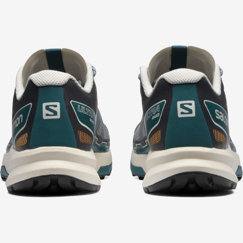 Women's Salomon ULTRA RAID Sneakers Grey | IN2995AHK