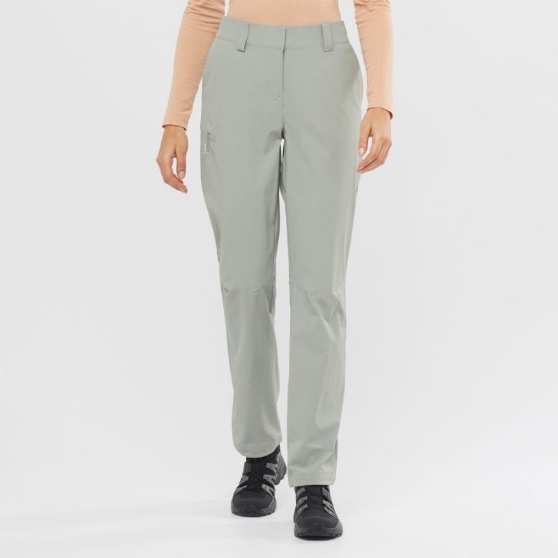 Women's Salomon WAYFARER Pants Grey | IN3228EBC