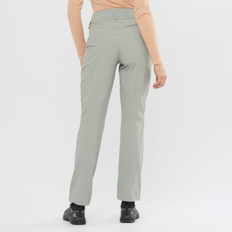 Women's Salomon WAYFARER Pants Grey | IN3228EBC