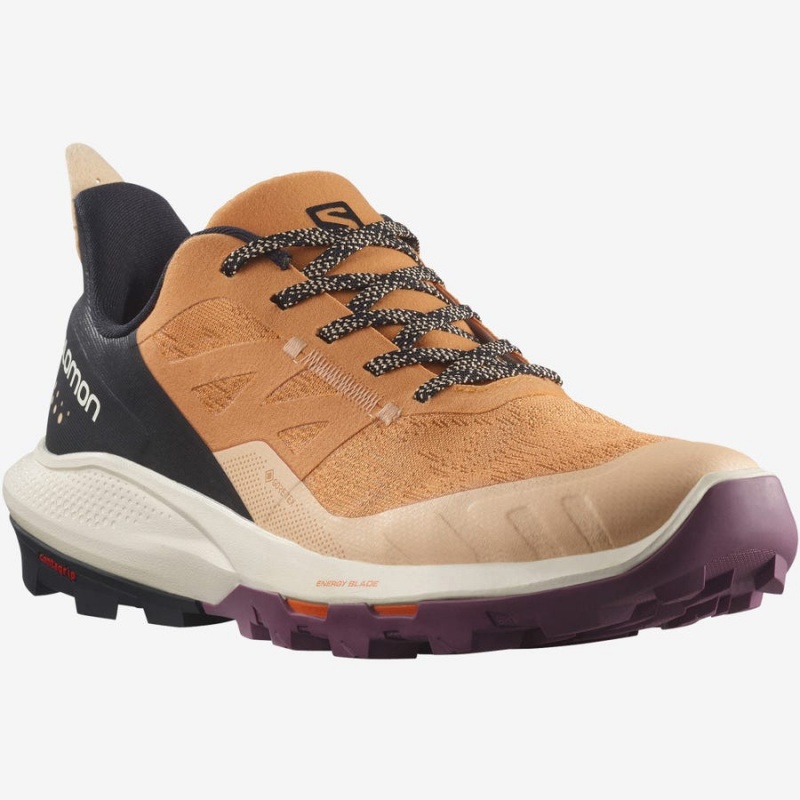 Women's Salomon WoOUTPULSE GORE-TEX Hiking Shoes Brown | IN2786WNB