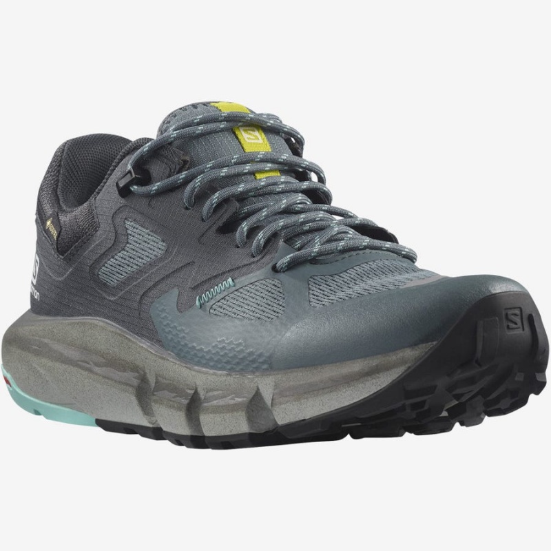 Women's Salomon WoPREDICT HIKE GORE-TEX Hiking Shoes Silver | IN2836MQZ